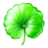 Centella asiatica