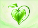 Heartleaf-Skincare-for-Sensitive-and-Acne-Prone-Skin-Heartleaf-Collection Totoka GmbH