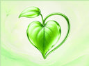 Heartleaf-Skincare-for-Sensitive-and-Acne-Prone-Skin-Heartleaf-Collection Totoka GmbH