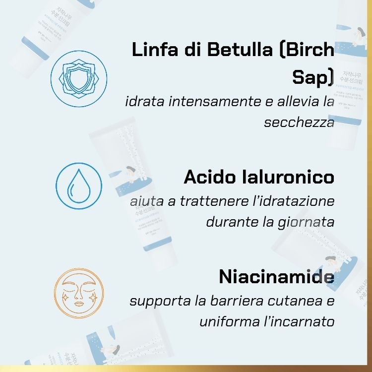 Key ingredients of RoundLab - Birch Juice Sunscreen | crema solare idratante per pelli secche