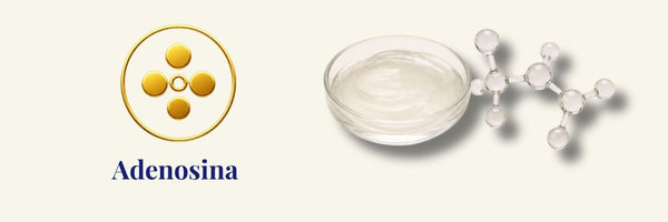 Wismin - Bakuchiol All Day Young Ampoule | bakuchiol ampulle für empfindliche haut
