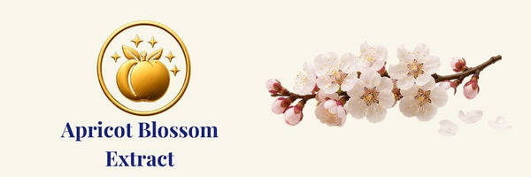 Beauty of Joseon - Apricot Blossom Peeling Gel | gel peeling delicato per pelli sensibili