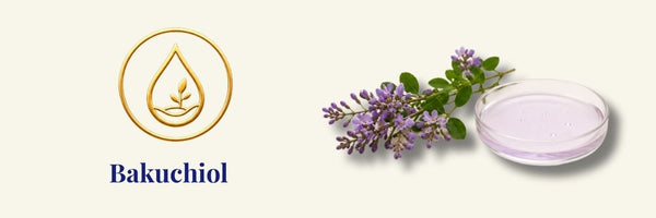 Wismin - Bakuchiol All Day Young Ampoule | bakuchiol ampulle für empfindliche haut