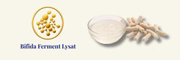 Bifida Ferment Lysate