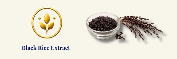 HaruHaru Wonder - Black Rice Hyaluronic Toner | hyaluronic toner for sensitive skin