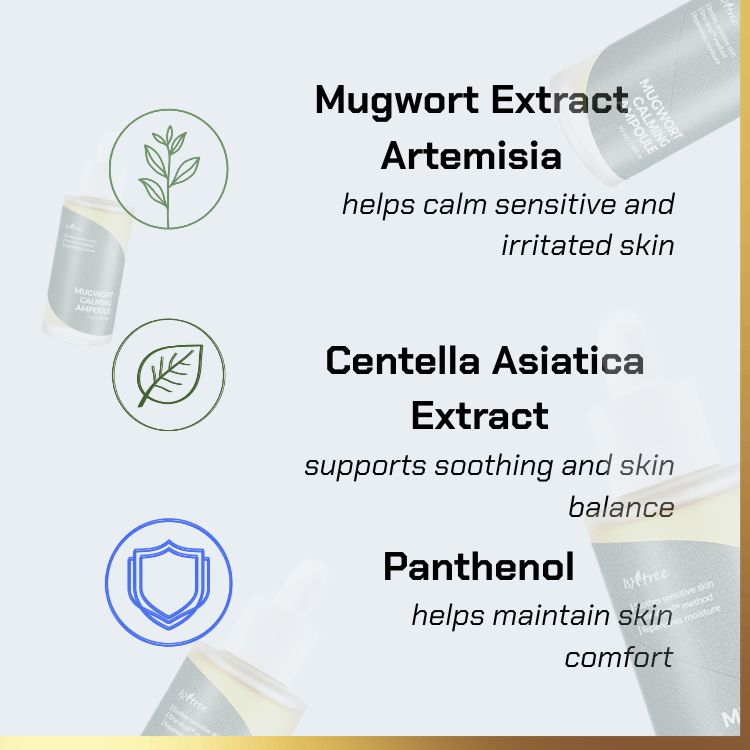 Key ingredients of ISNTREE - Calming  Mugwort Ampoule | calming ampoule for sensitive skin