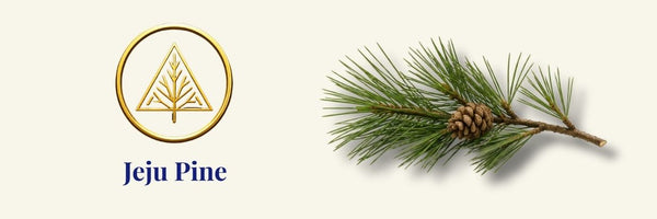 Round Lab - Pine Calming Cica Cleanser | calming cleanser for sensitive skin