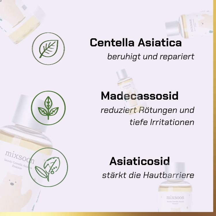 Key ingredients of Mixsoon - Soondy Asiatica Centella Essence | Centella Essenz für empfindliche Haut