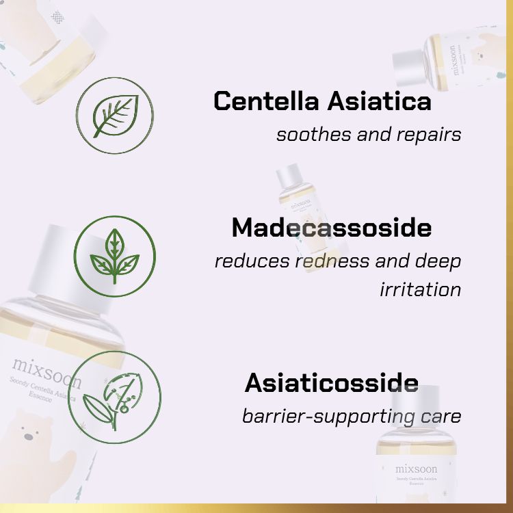 Key ingredients of Mixsoon - Soondy Asiatica  Centella Essence | centella essence for sensitive skin