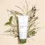 Mary_May-Houttuynia-Cordata-Tea-Tree-Cleansing-Foam laying on plants