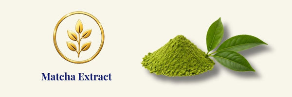 Heimish – Matcha Biome Amino Akne-Reinigungsschaum | Reinigungsschaum für fettige Haut