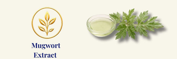 ISNTREE - Mugwort Calming Ampoule | fiala lenitiva per pelli sensibili