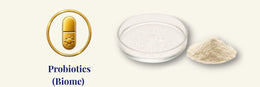 Fermento di Lactobacillus