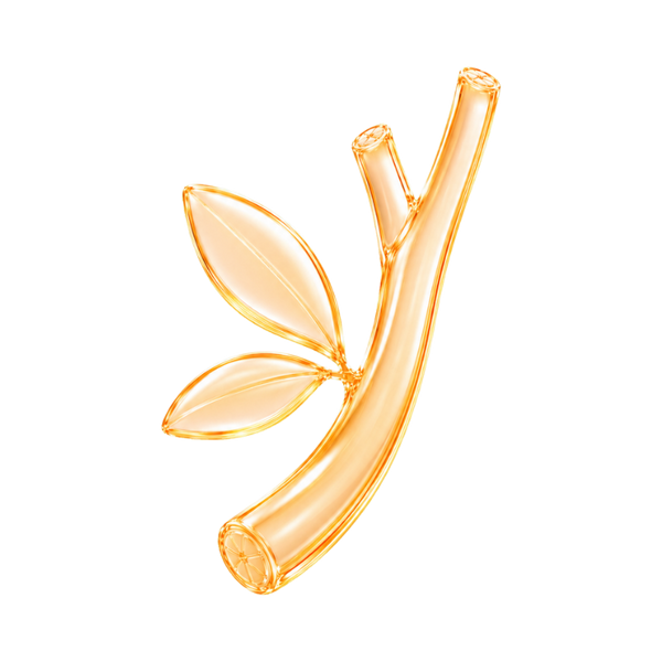 Lycorice Root