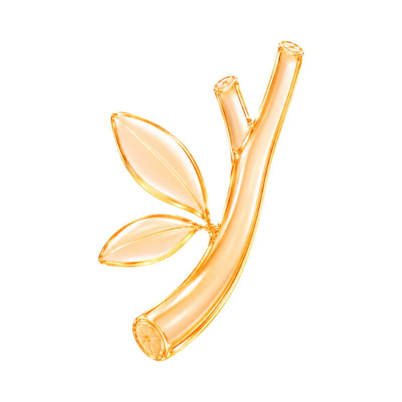 Lycorice Root