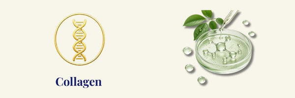 MEDICUBE - Jelly Crema al collagene | crema al collagene per pelli sode