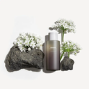 HaruHaru Wonder - Black Rice Hyaluronic Toner – Korean skincare by TOTOKA