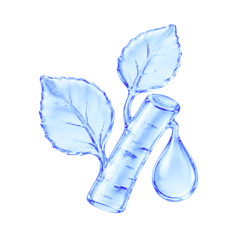 Birch Juice
