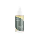ISNTREE - Mugwort Calming Ampoule – Korean skincare by TOTOKA