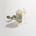 ISNTREE - Mugwort Calming Ampoule – Korean skincare by TOTOKA