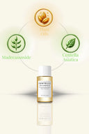 Skincare bottle with plant oils and botanical ingredients on a light background