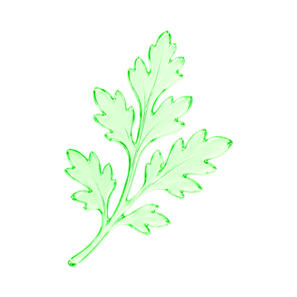 Mugwort