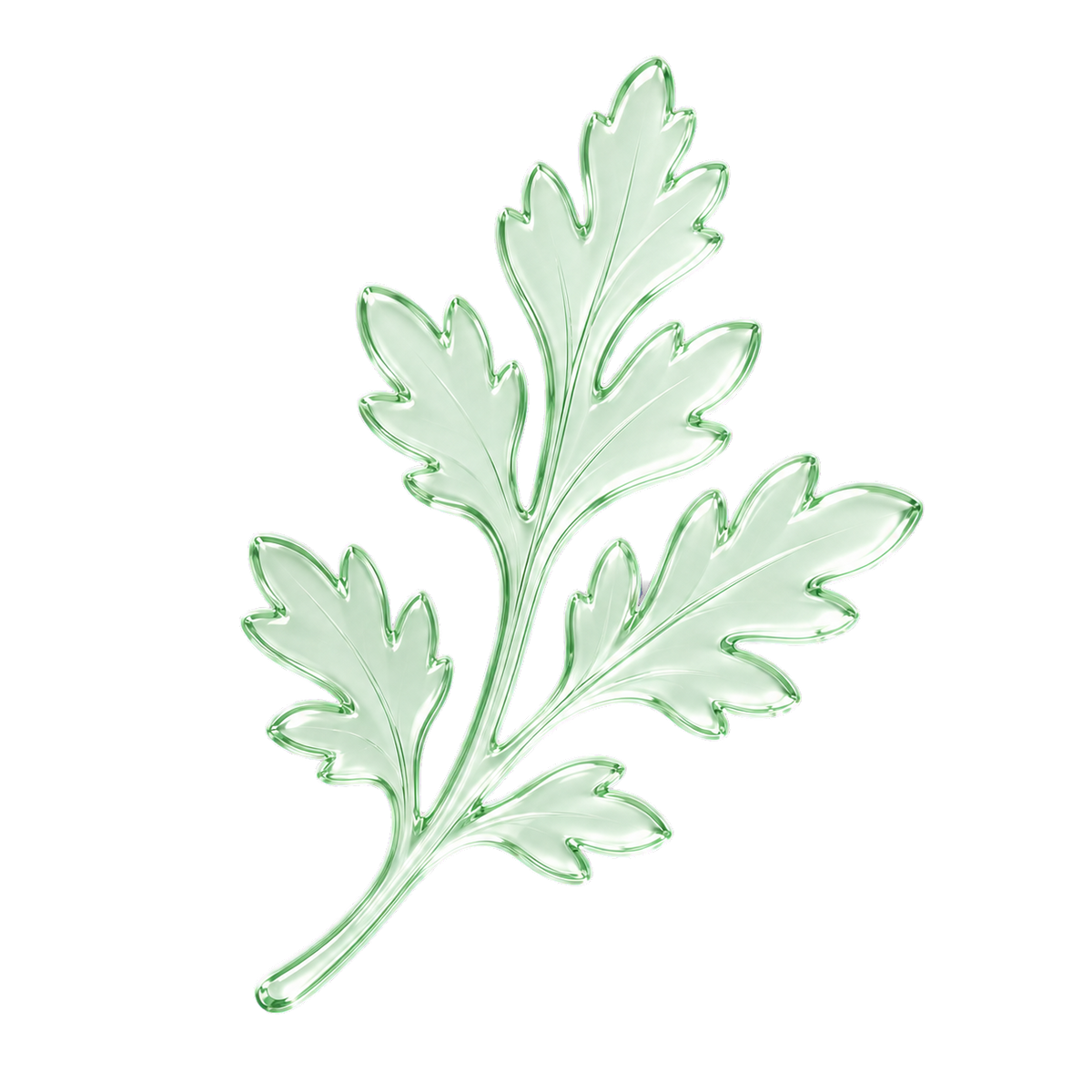 Mugwort